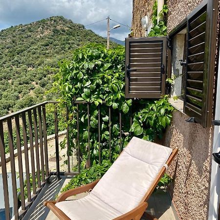 Studio Terrasse Vue Mer Clim Wifi Parking Partinello Dış mekan fotoğraf